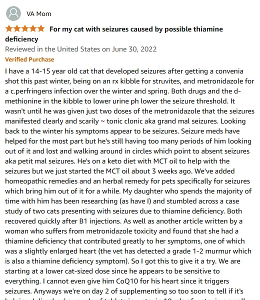 My Cat's Seizure Relief with Vitamin B1 Solution